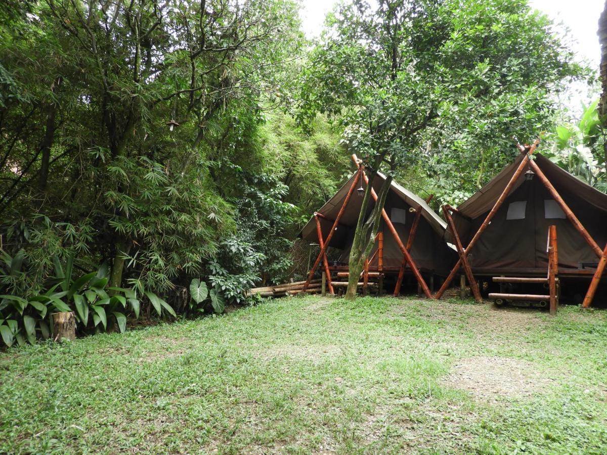 Bambu Glamping Ecolodge Medellín Exterior foto